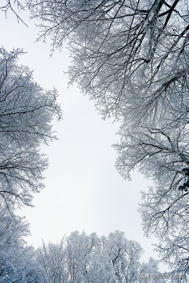 形容下雪的句子,关于下雪的唯美词（形容下雪的句子有哪些）