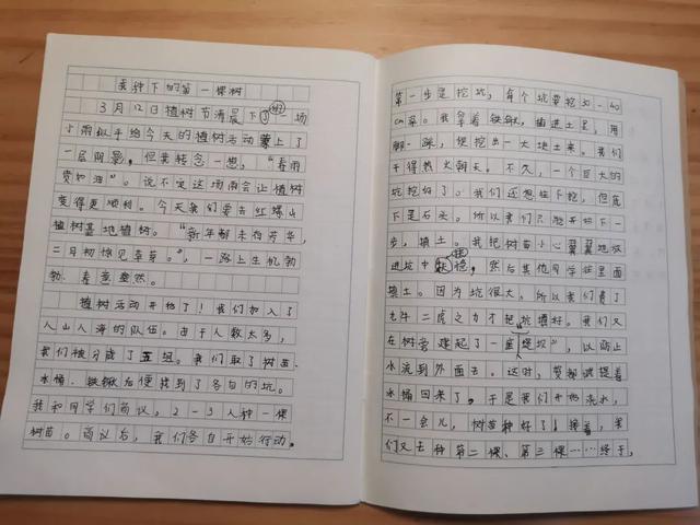 二年级植树的日记100字（种树的日记二年级100字）