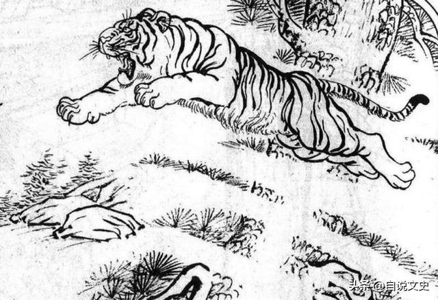 关于老虎的故事名字叫什么，关于老虎的故事名字英文！